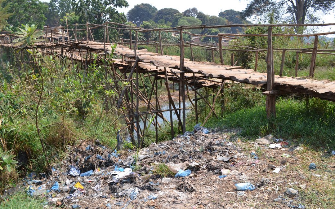 Thin plastics banned, nature prioritised and bat habitat mapped: How our UNA Rivers Project is influencing policy in Malawi