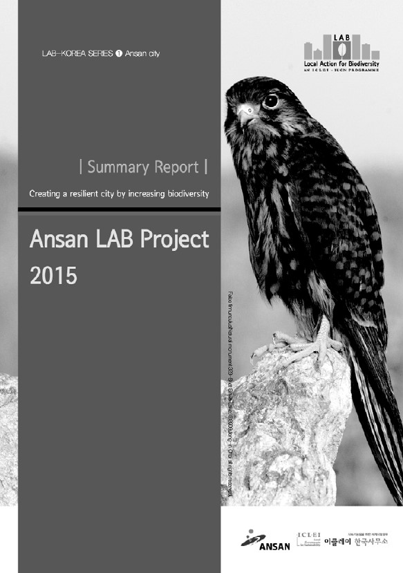 Ansan LAB Project