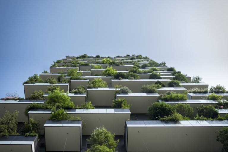 First Steps to Greener Buildings