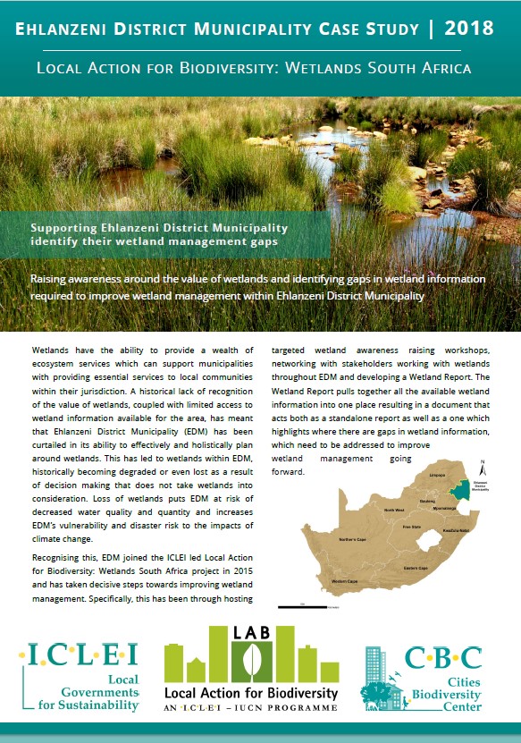 Ehlanzeni District Municipality Wetland Case Study