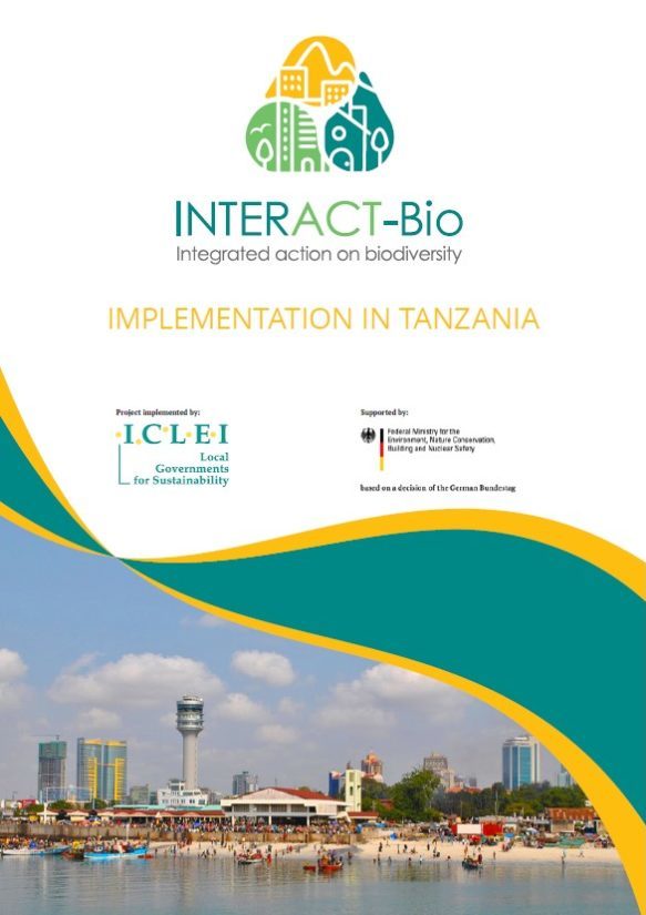 Implementation in Tanzania