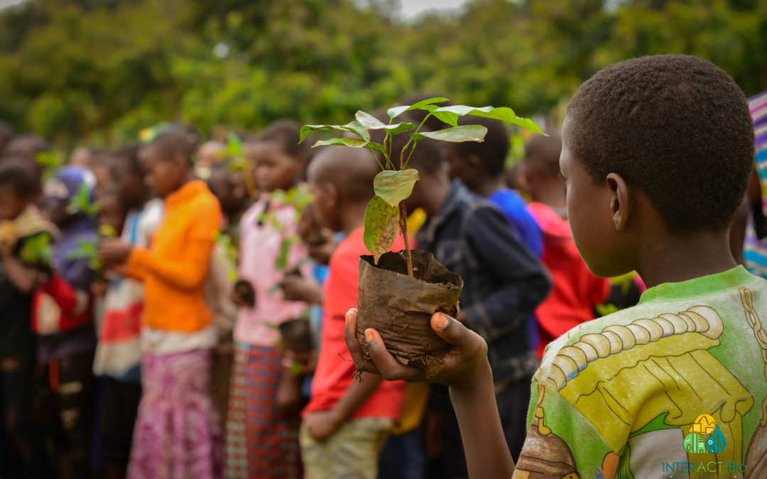 Growing a healthy planet: Ten tips for planting the right trees in the right places