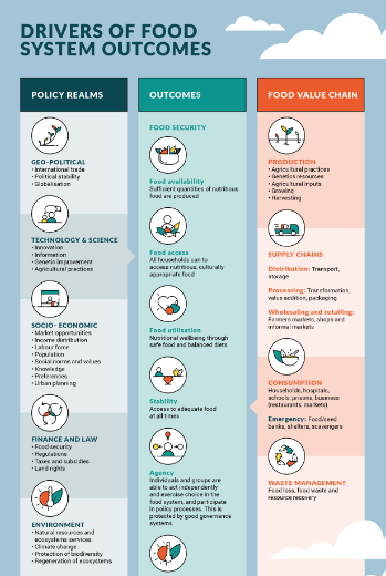 Drivers of food system outcomes