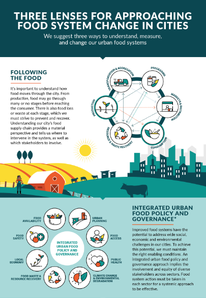 Three lenses for approaching food system change in cities