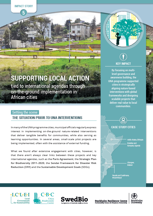 Impact story: Supporting Local Action