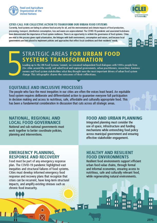 5 strategic areas for urban food systems transformation