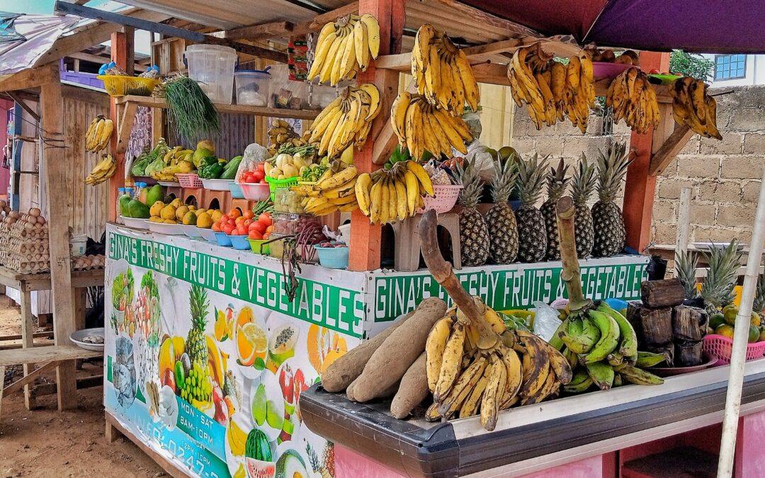 Investing in Urban African Food Systems (FS-Invest)