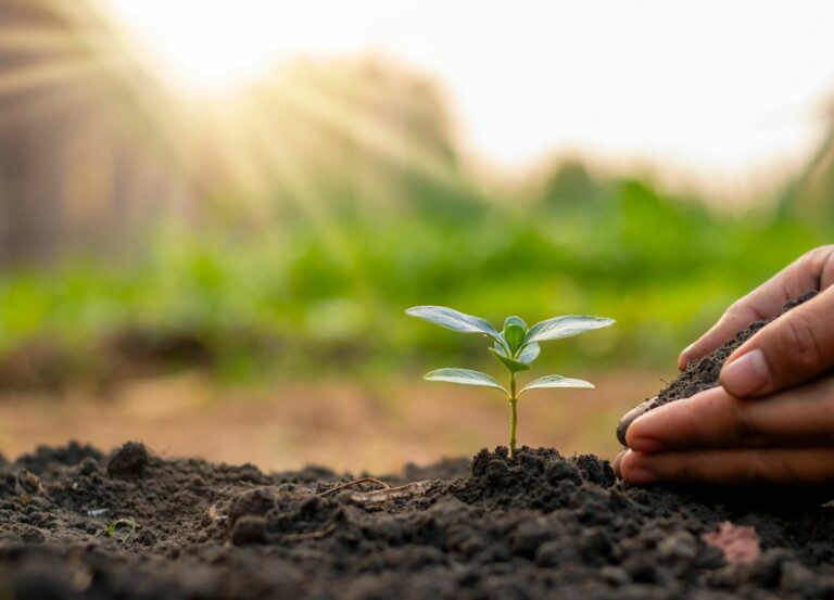 Développement basé sur la nature