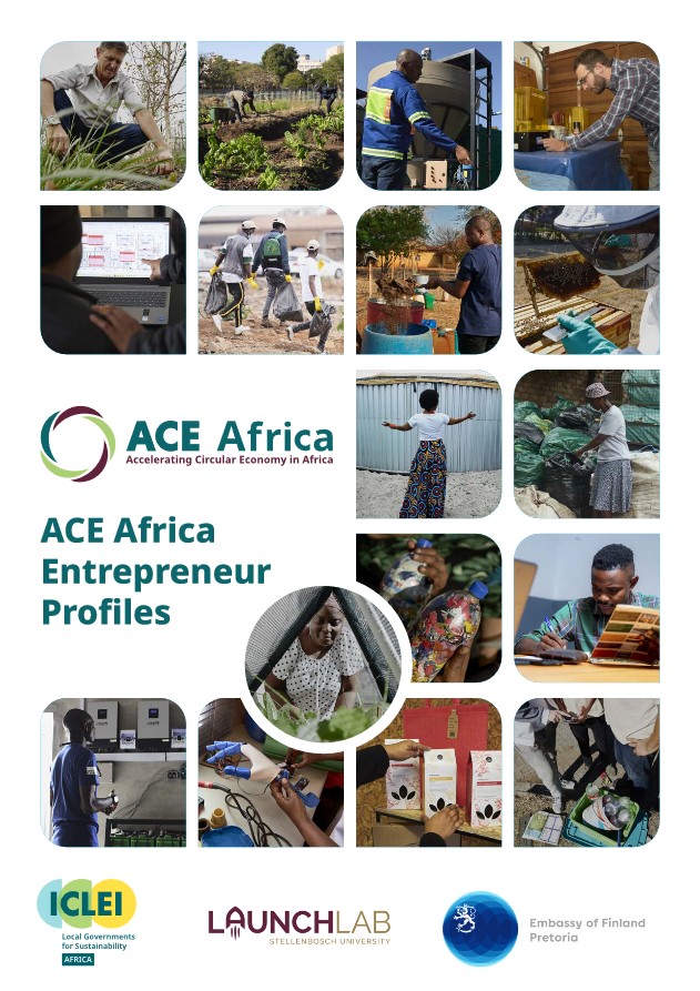 ACE Africa Entrepreneur Profiles