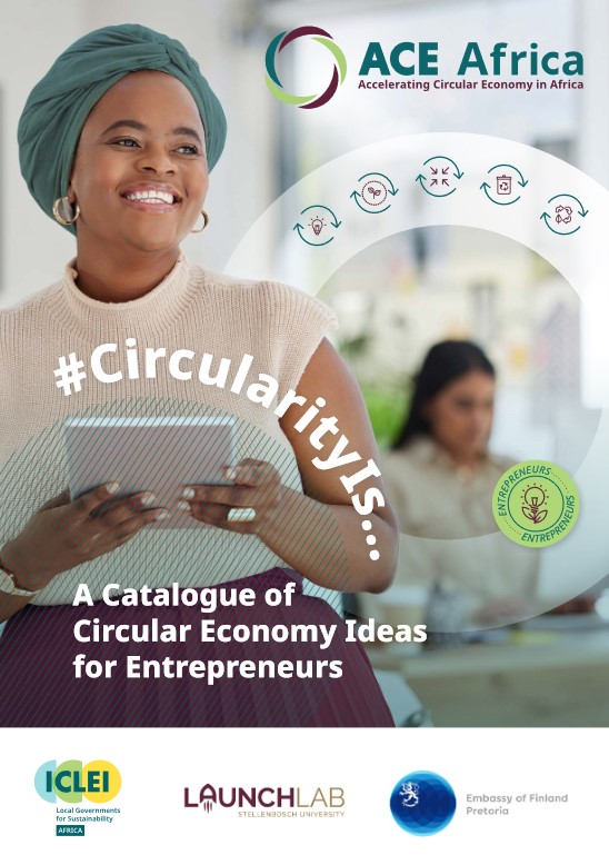 A Catalogue of Circular Economy Ideas for Entrepreneurs