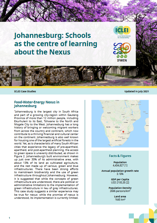 Johannesburg: Schools as the centre of learning about the Nexus