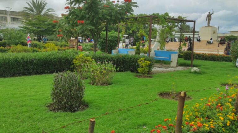 Urban greening in Dodoma, Tanzania | INTERACT-Bio project