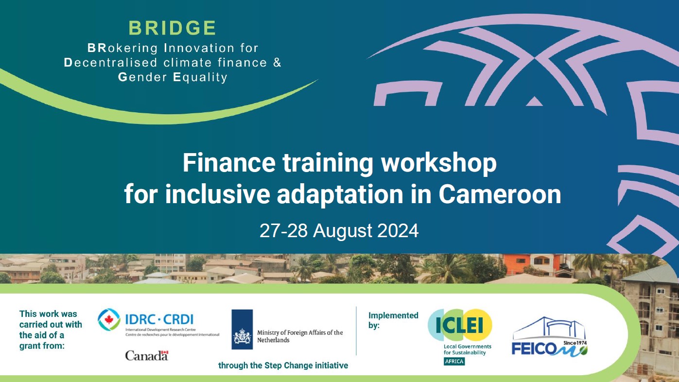 Finance training workshop for inclusive adaptation in Cameroon