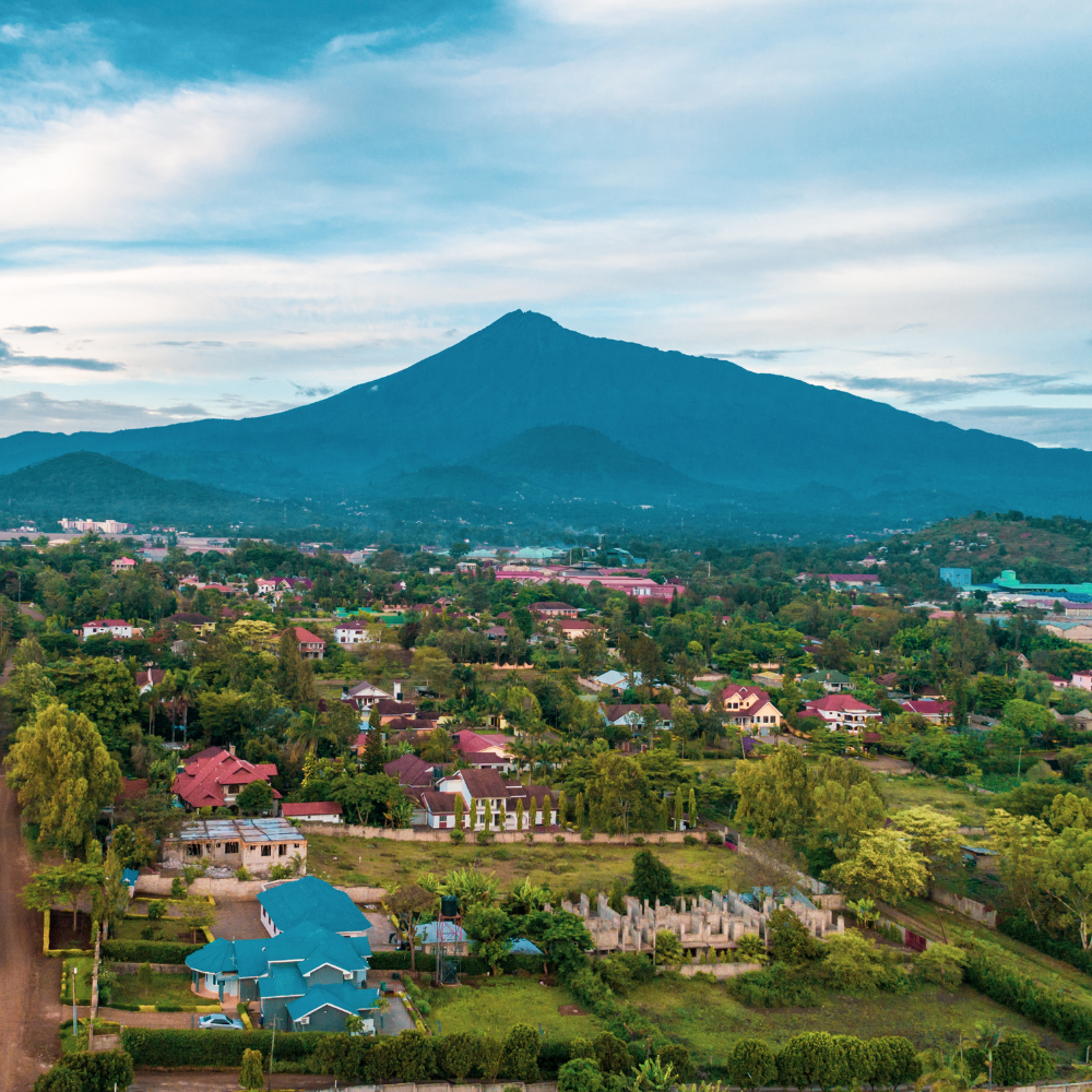 ICLEI Africa invites applications to conduct a Fresh Food Market Investment Viability Survey for the project titled the Resilient Market Fund (ReMark) in Arusha