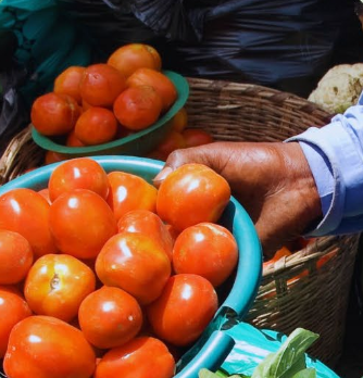 Strengthening Fresh Food Markets (Lilongwe City Assessment Report)