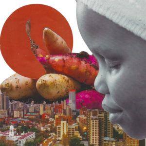 Créer des villes plus saines et plus prospères grâce à l'alimentation : ICLEI Afrique s'apprête à lancer son Centre alimentaire urbain africain