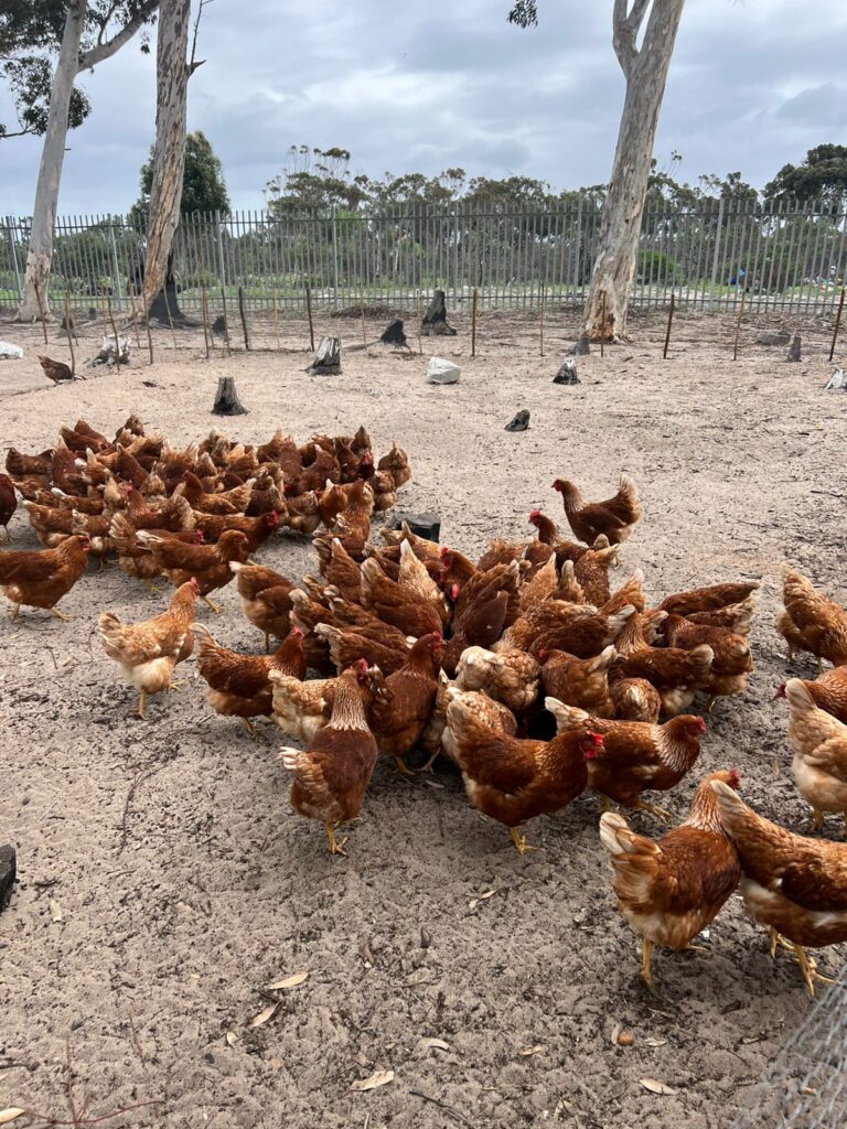 The Campus: A One Hectare Circular Farm and Learning Hub