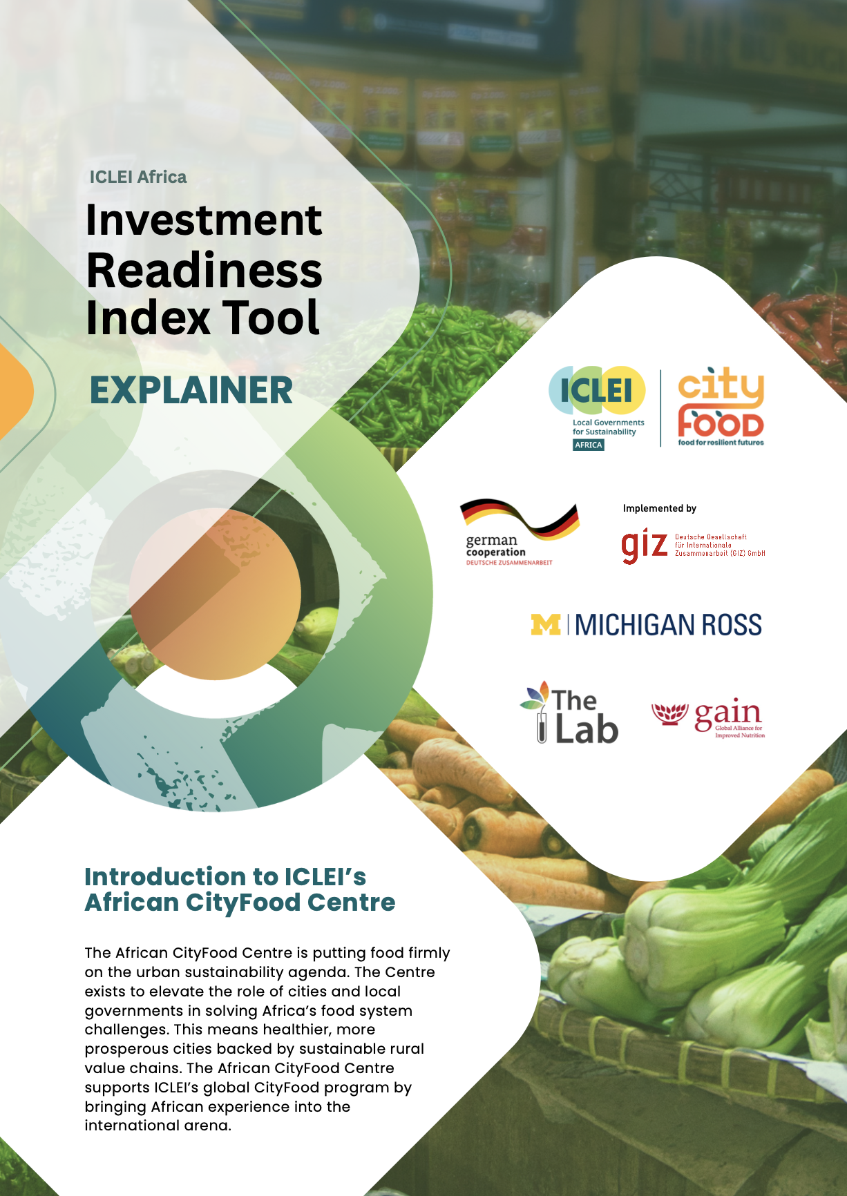 Investment Readiness Index Tool