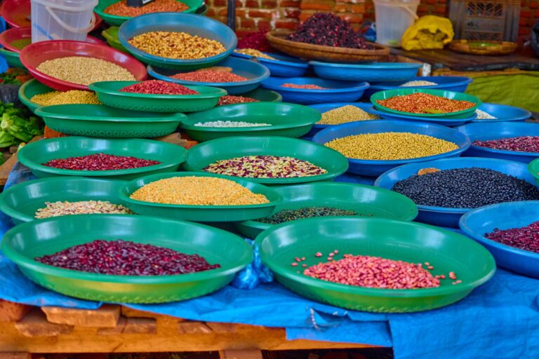 Strengthening urban nutrition: an action framework for urban food markets