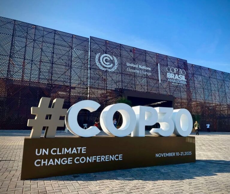 African priorities and perspectives at COP30 and the 2025 G20 Summit