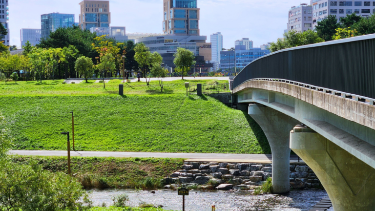 Bridging Ambition and Delivery: Integrating Urban and Subnational Priorities into Country Platforms