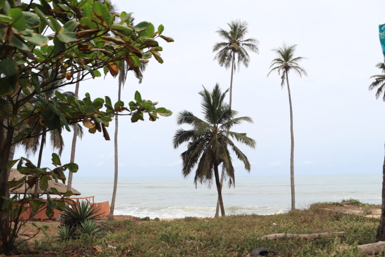 Building resilience through urban natural assets