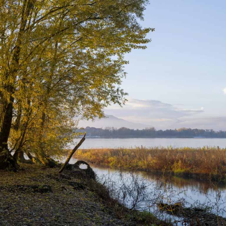 What to do before, during and after a flood (mobile)