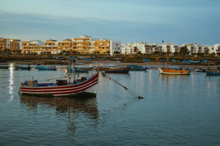 Water at the centre of urban resilience