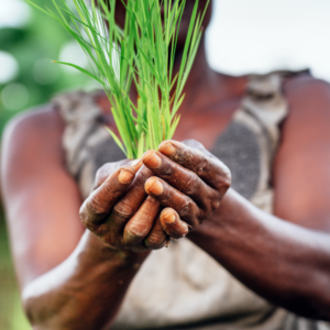 Making a step change in climate adaptation: what locally led can look like 