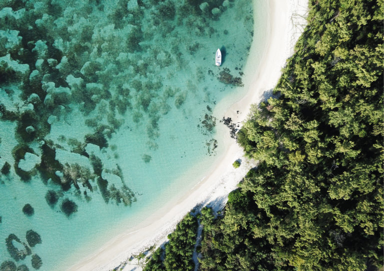 Every Municipal and District Council in Mauritius joins ICLEI