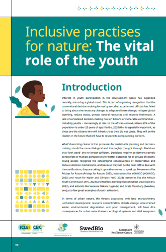 Screenshot 2025-11-04 154835